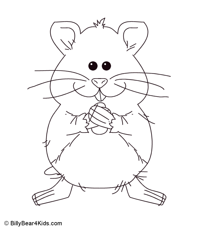Hamster clipart colour. Free pictures to color