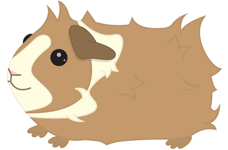 hamster clipart guinea pig