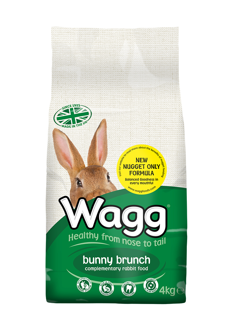 Wagg bunny brunch foods. Hamster clipart hamster food