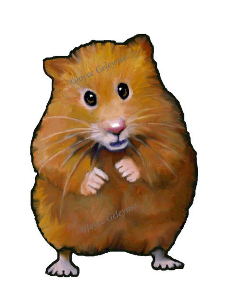 Clip art hand drawn. Hamster clipart real