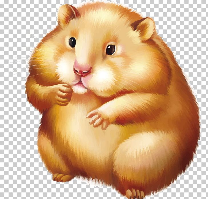 Golden mouse png animals. Hamster clipart rodent