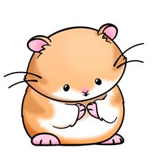 Free cute hamsters cliparts. Hamster clipart transparent background