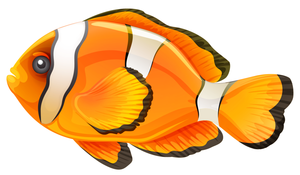 Clownfish png fish errortape. Hand clipart cute
