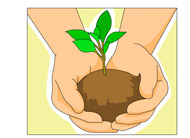 seedling clipart hand holding