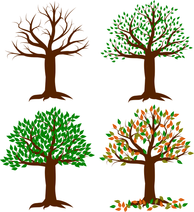 happiness clipart happy plant