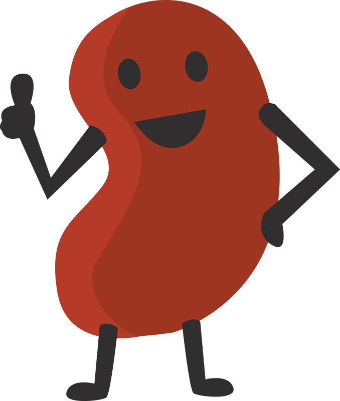 Happy kidney