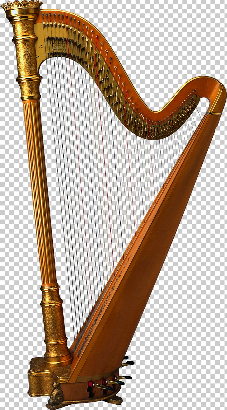 Harp clipart harp instrument. Musical string png 