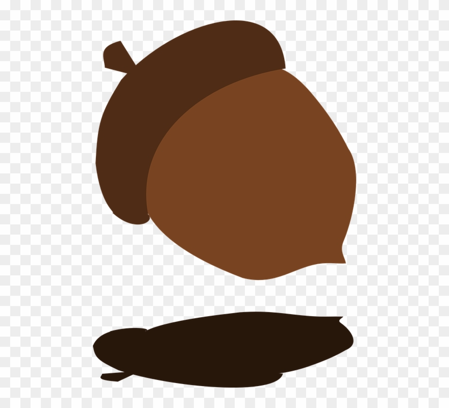 harvest clipart acorn
