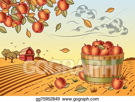harvest clipart apple