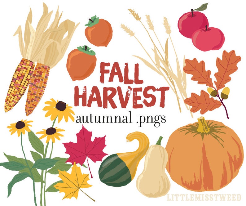 harvest clipart beautiful fall