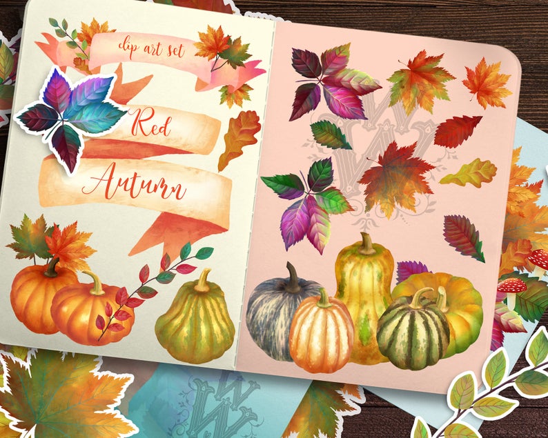 Autumn leaves and pumpkin. Harvest clipart fall foliage