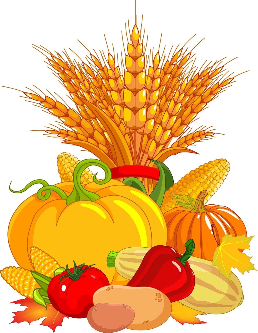 Harvest clipart harvest festival, Harvest harvest festival Transparent ...