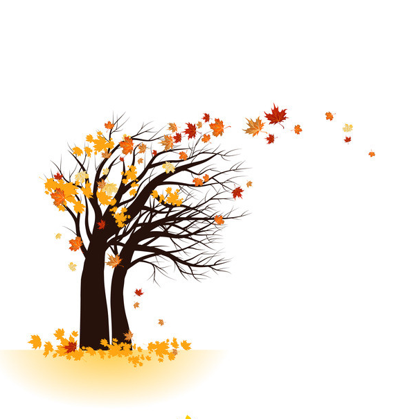 Harvest clipart school. Arbre png fall pinterest