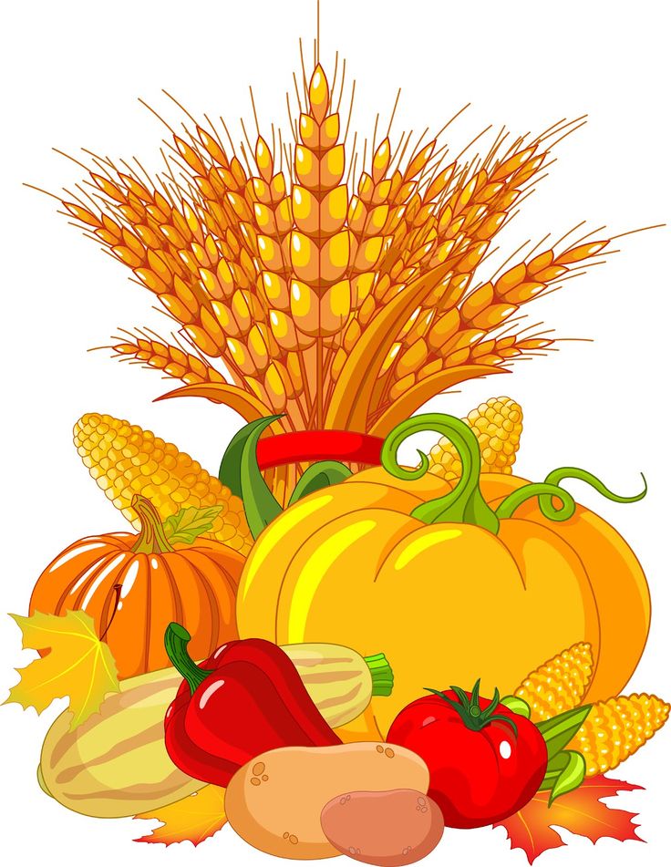 harvest clipart simple fall