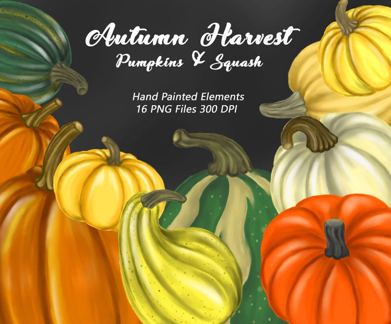  off autumn pumpkin. Harvest clipart squash