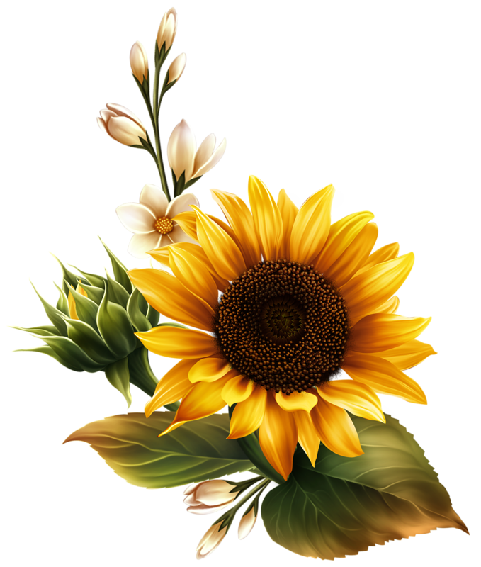 Free Free 316 Sunflower Clip Art Svg SVG PNG EPS DXF File