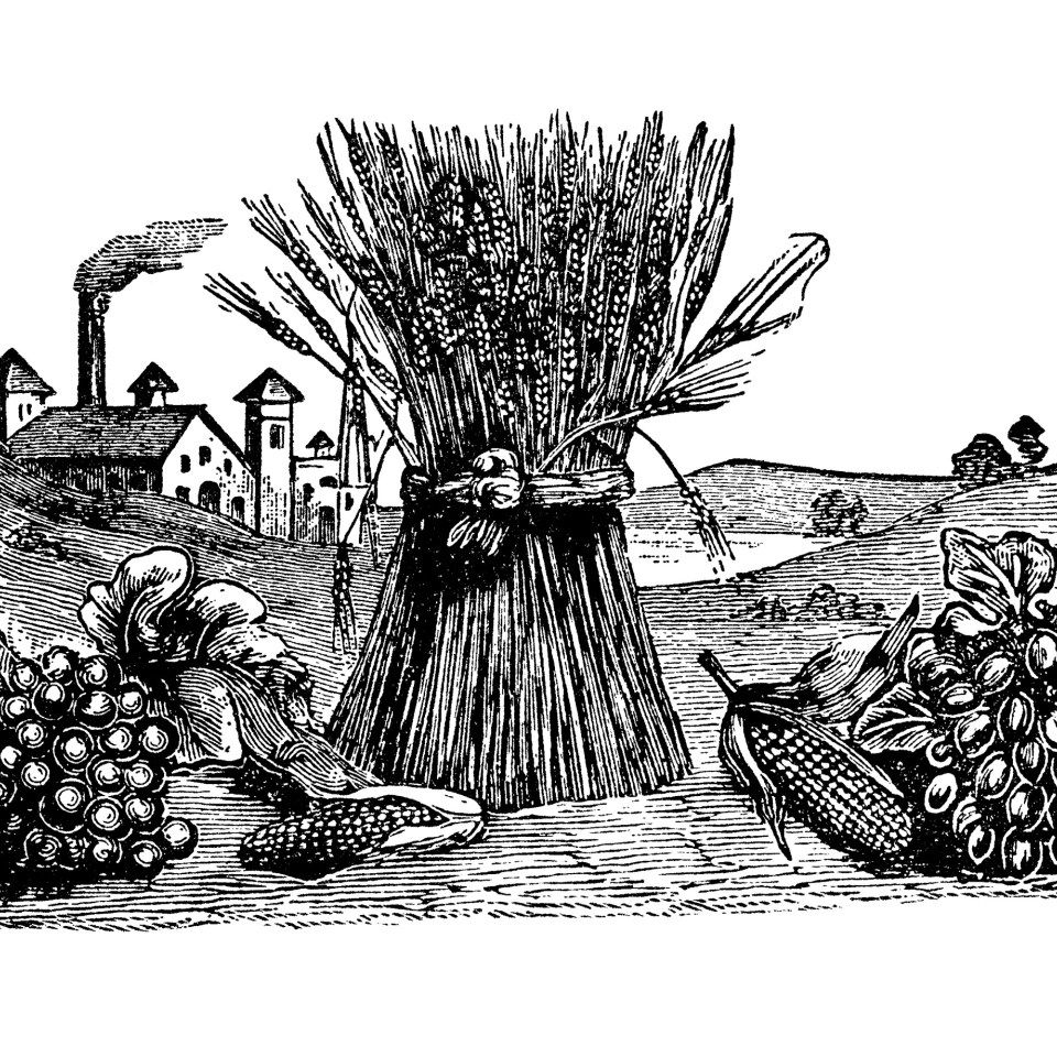 Harvest clipart vintage fall. Clip art sheaf of