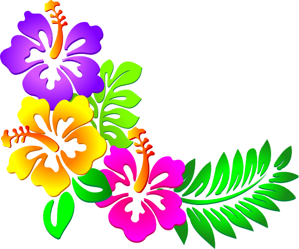 hibiscus clipart hawaiian theme