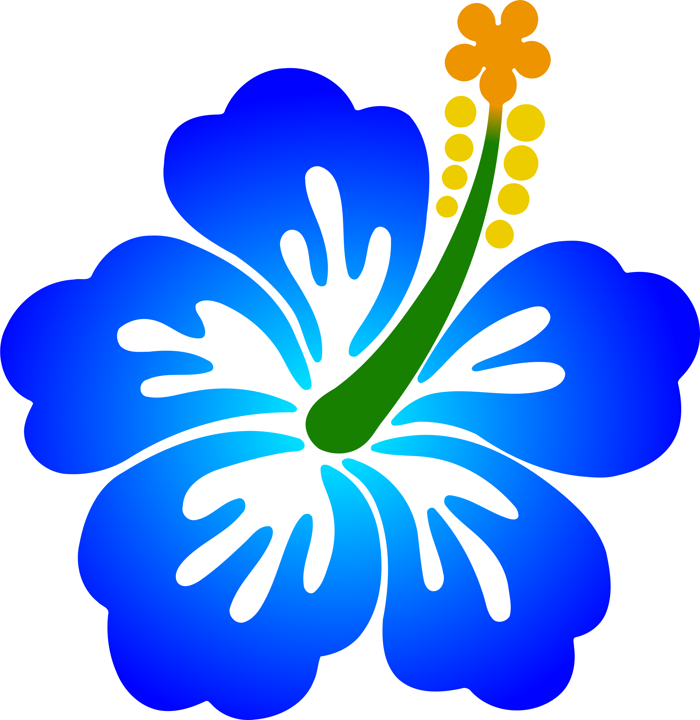 hawaii clipart flower