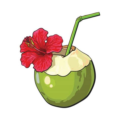 Hawaii clipart hawaiian coconut. Clip art hawthorneatconcord 