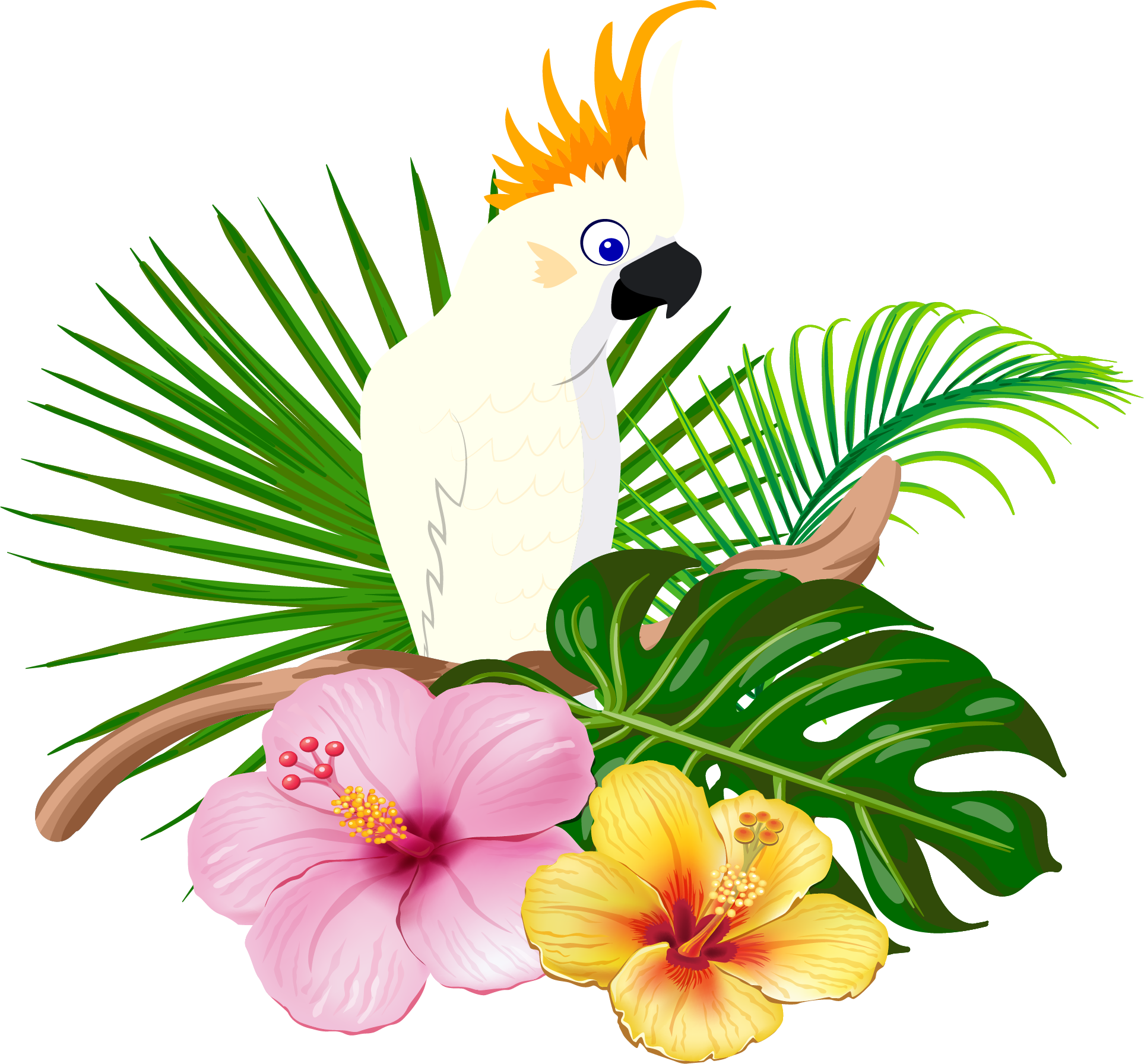 Bird floral design white. Hawaii clipart parrot