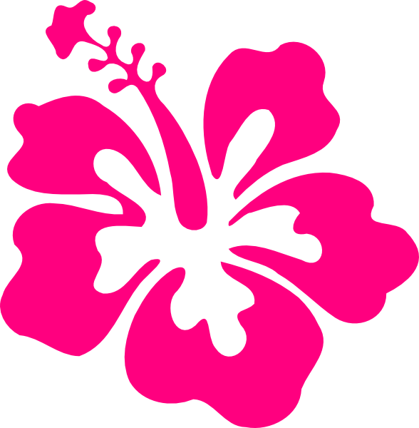 Flowers from hawaii the. Hibiscus clipart aloha