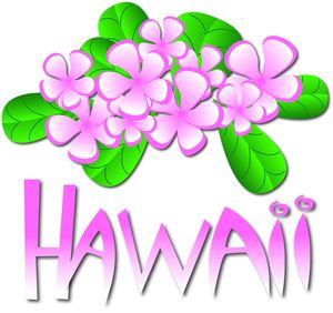 hawaii clipart plant hawaiian
