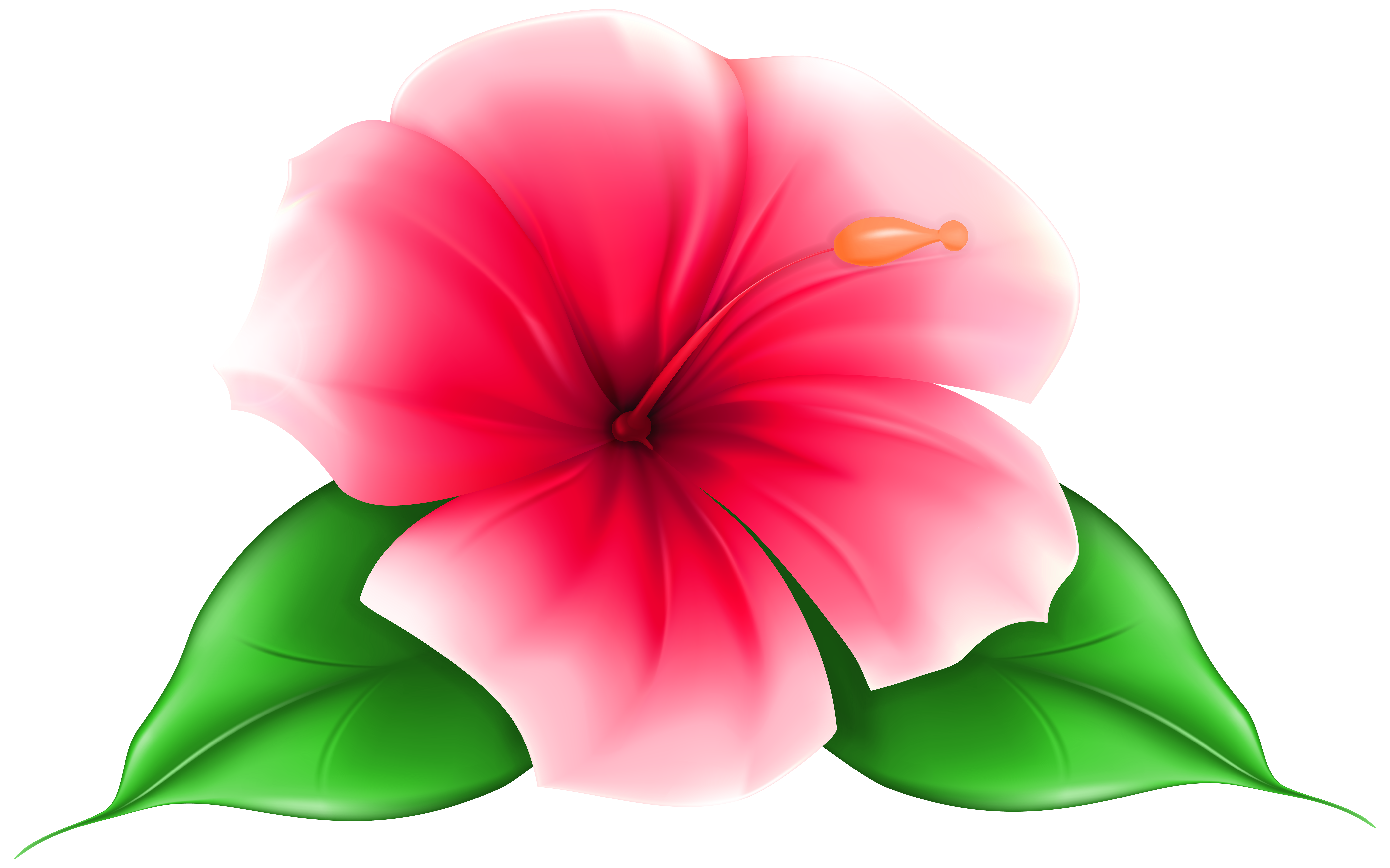 lily clipart red tropical flower