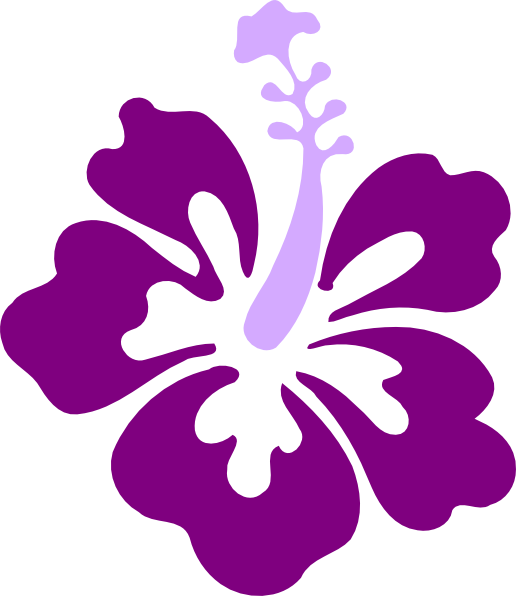 Hibiscus purple hibiscus