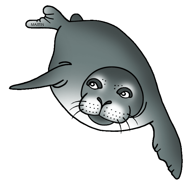 Animals clip art by. Seal clipart weddell seal