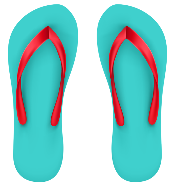 Hawaiian sandal