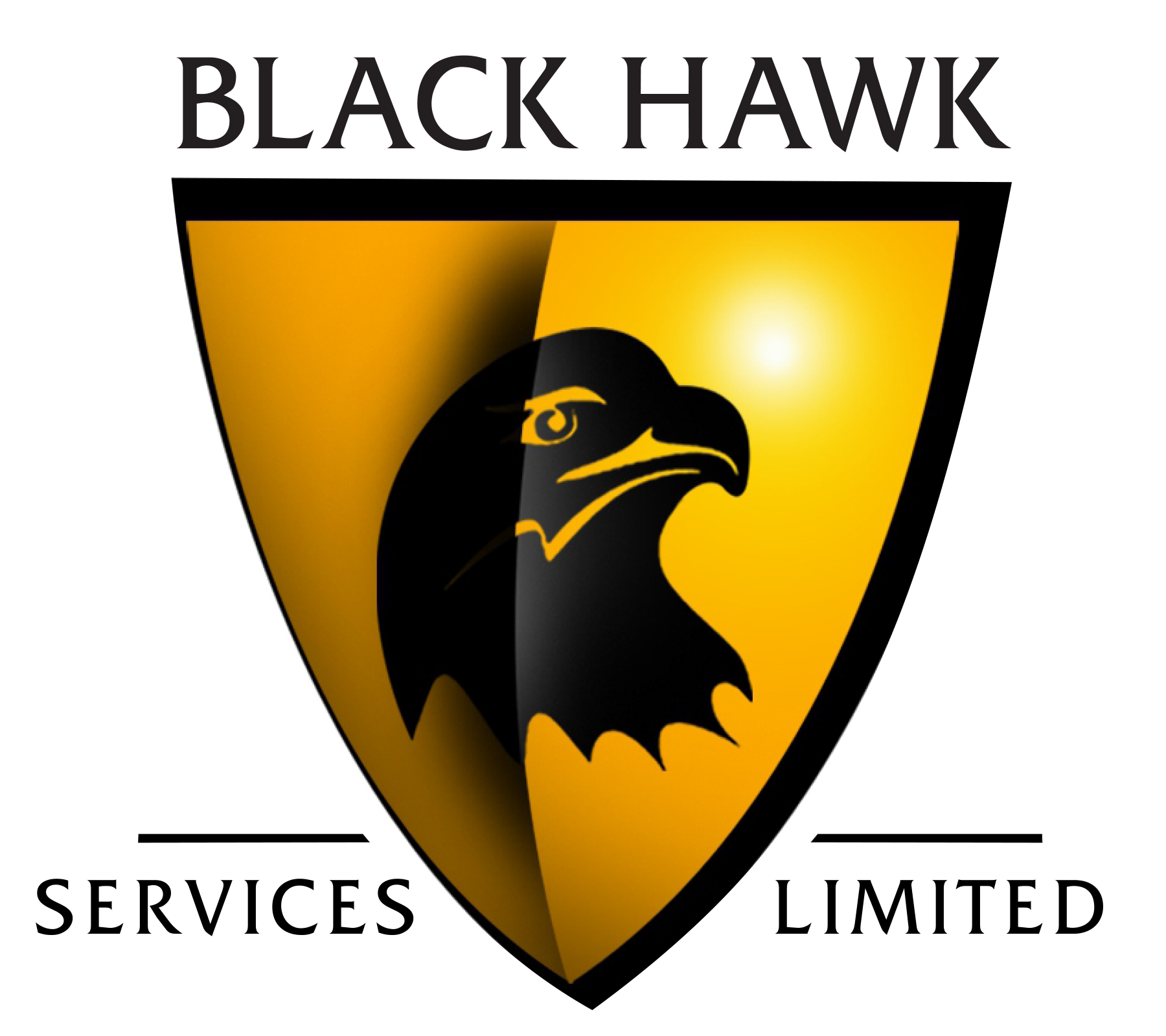 hawk clipart blackhawk