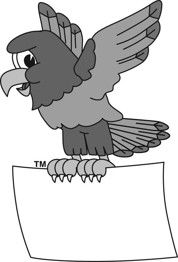 hawk clipart cartoon