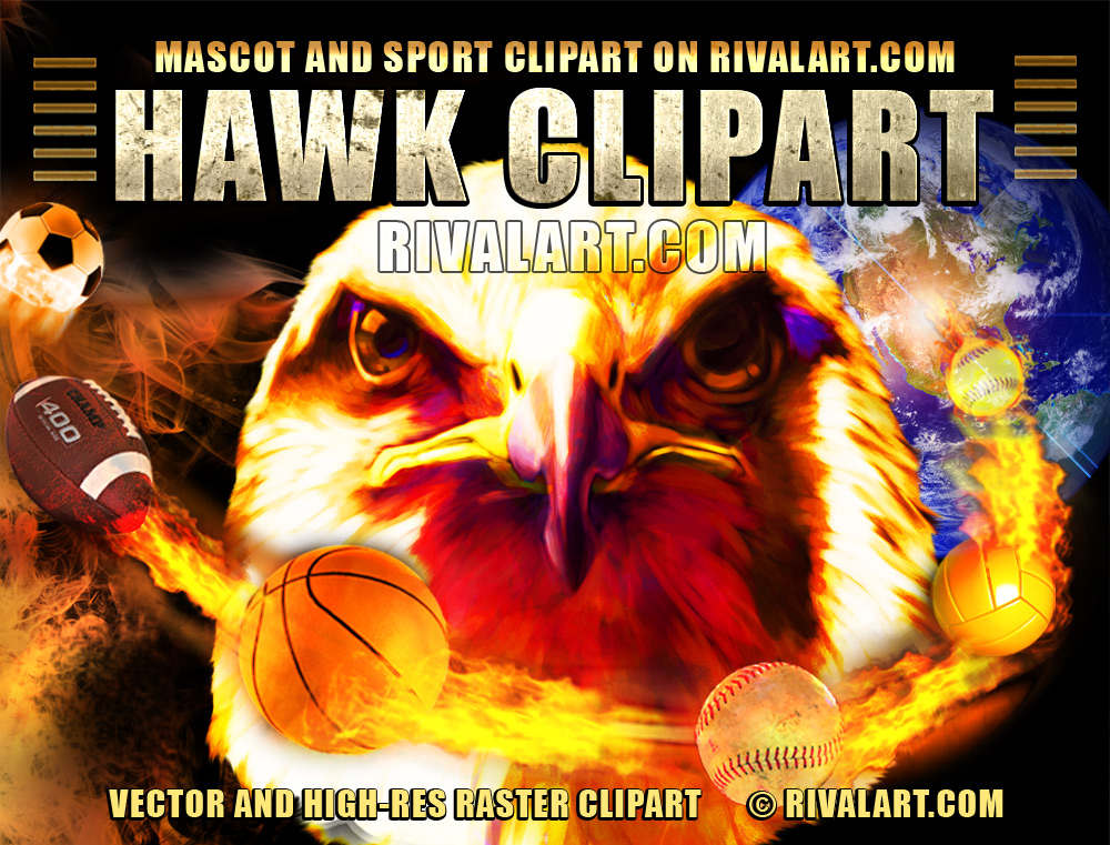 hawk clipart design