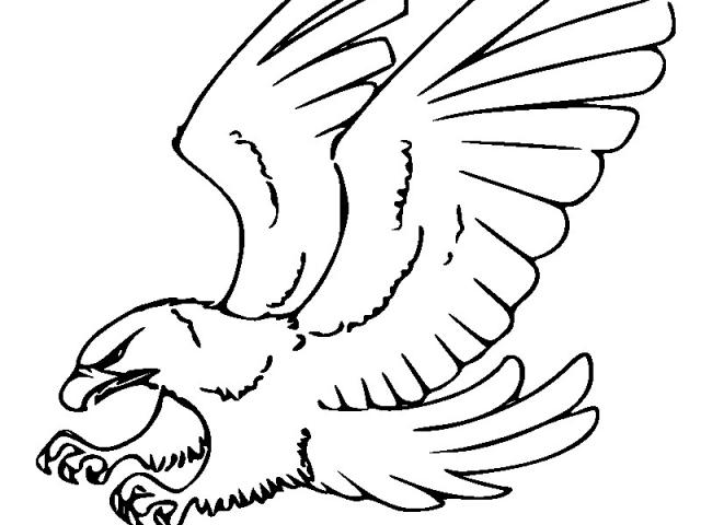 hawk clipart drawn