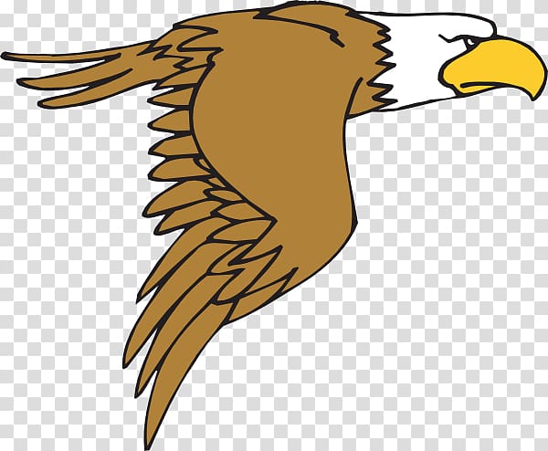 hawk clipart eagle