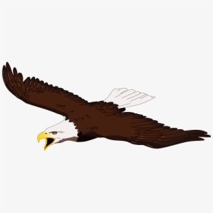 hawk clipart eagle