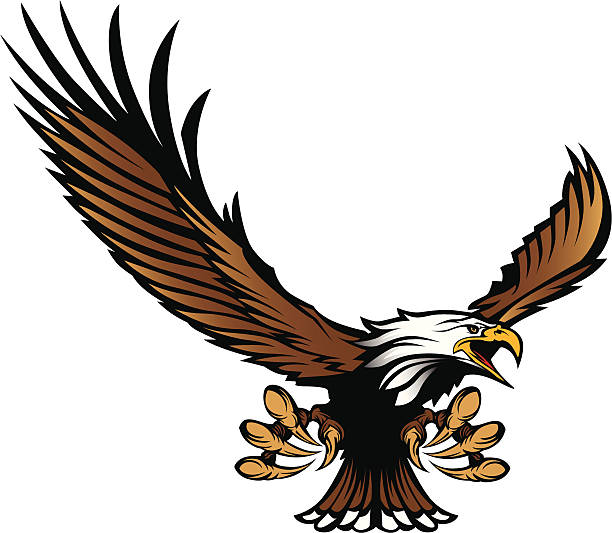 Clipartpost . Hawk clipart hebron