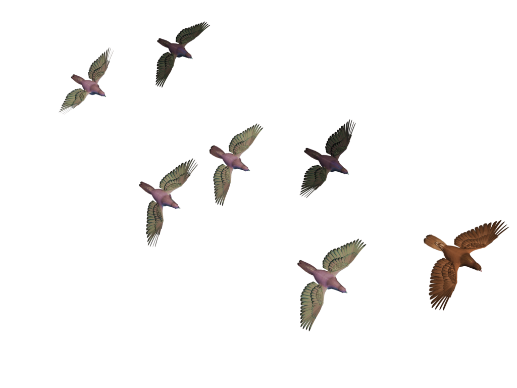 hawk clipart in flight