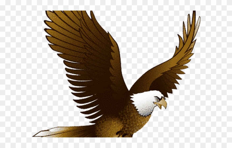 hawk clipart landing eagle