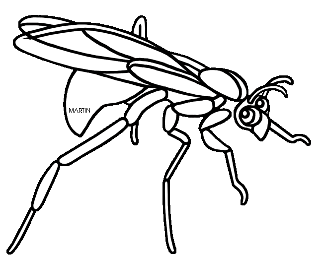 insects clipart wasp