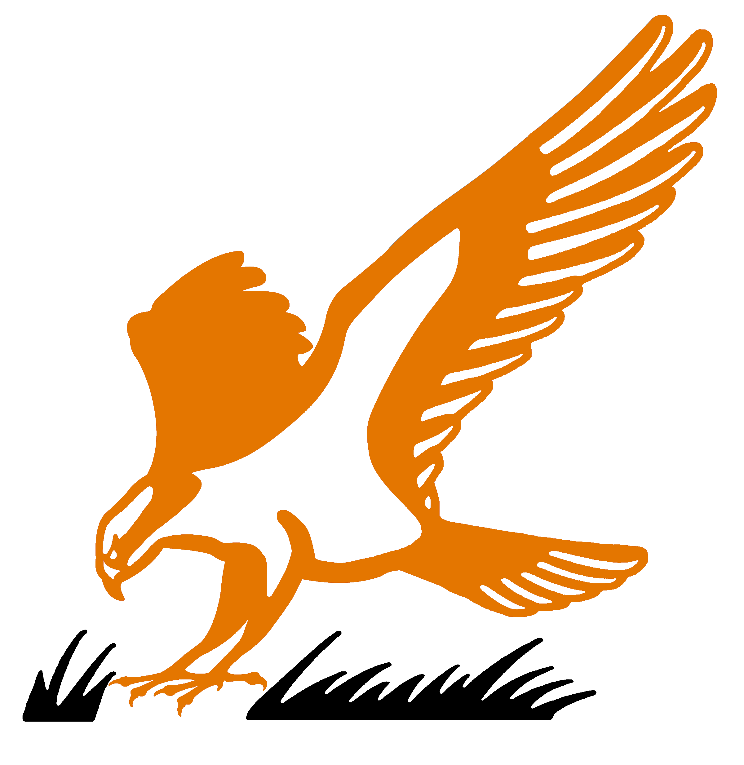 hawk clipart osprey