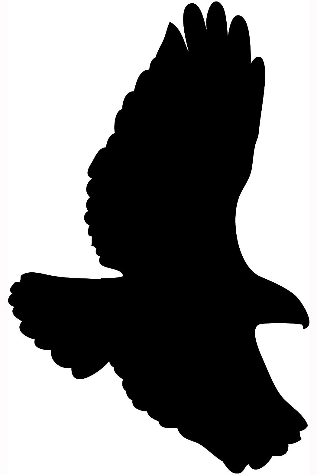 hawk clipart silhouette