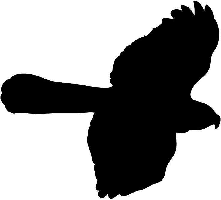 hawk clipart silhouette