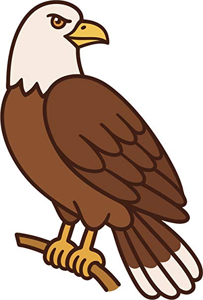 Hawk clipart simple cartoon, Hawk simple cartoon Transparent FREE for download on WebStockReview ...