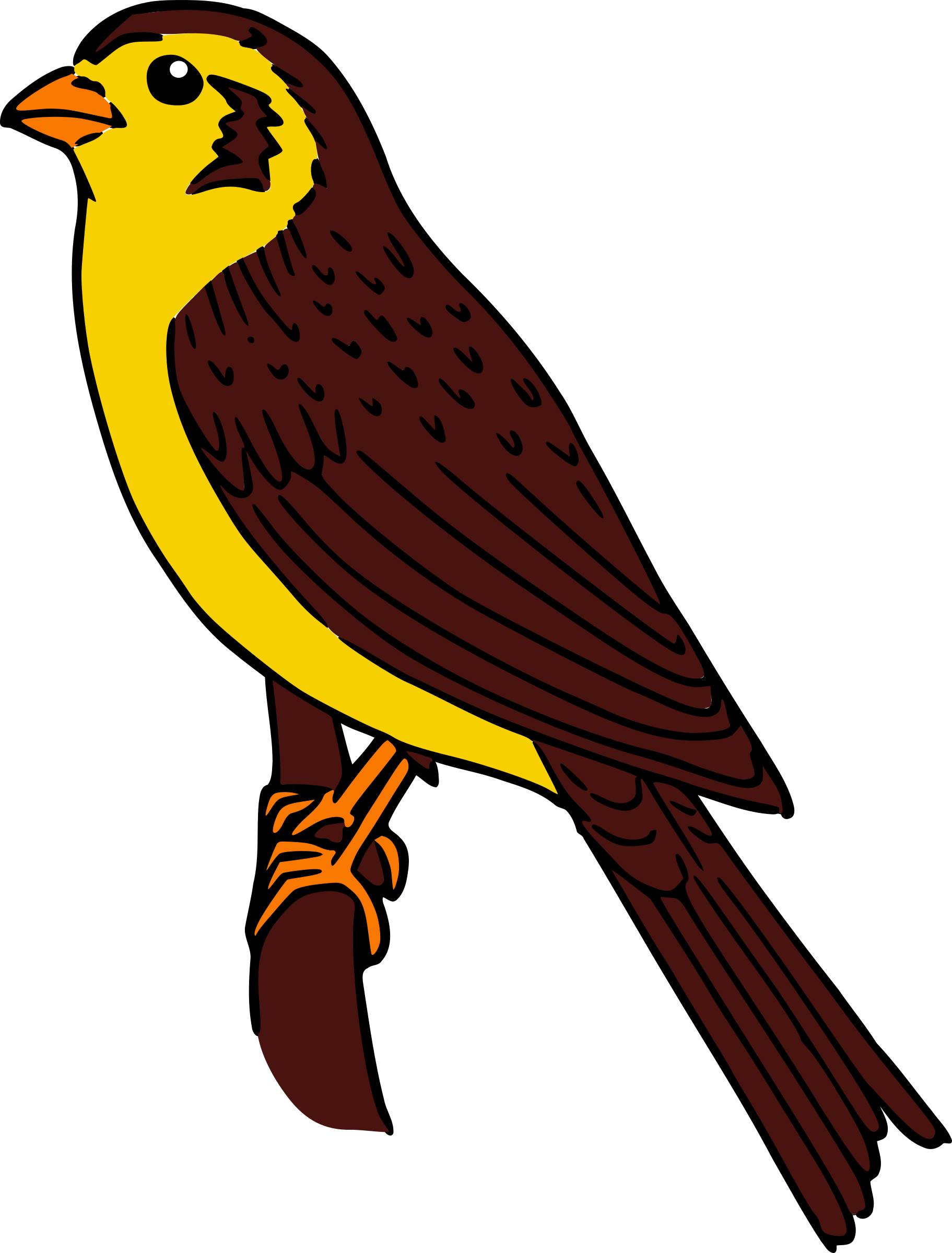 hawk clipart sparrow hawk