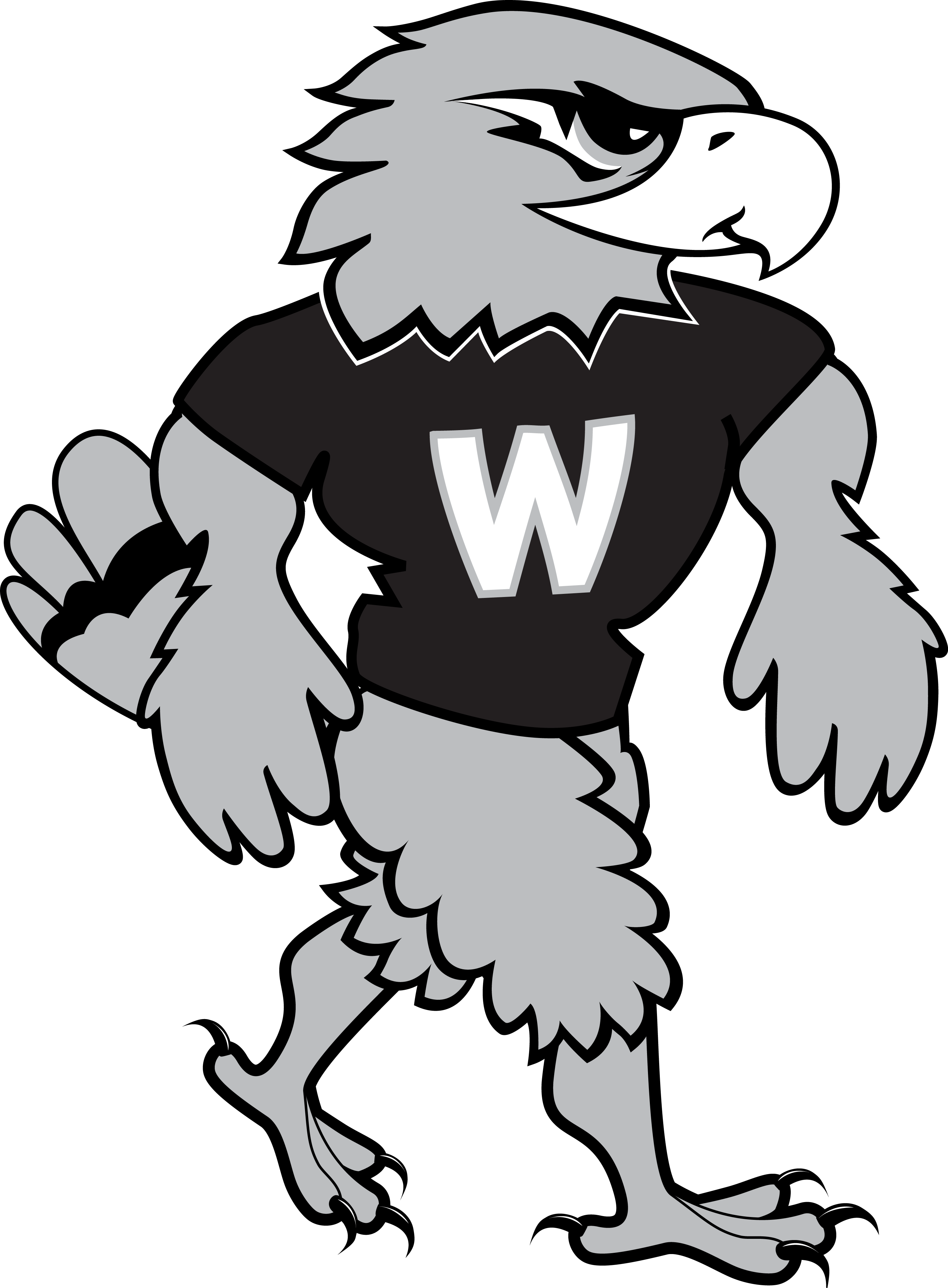 hawk clipart sport mascot