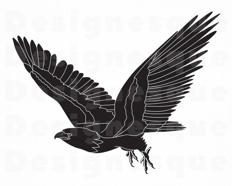 hawk silhouette vector art icons and graphics for