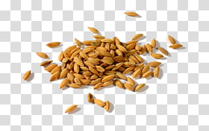 hay clipart brown rice