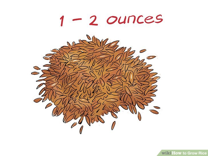 hay clipart brown rice